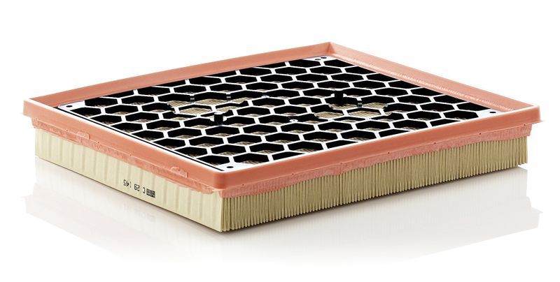 Mann-Filter C 29 145