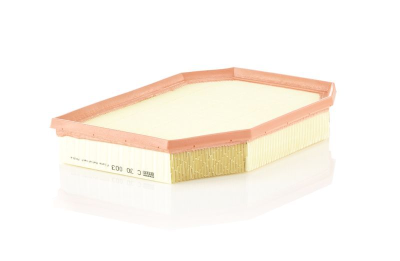 Mann-Filter C 30 003