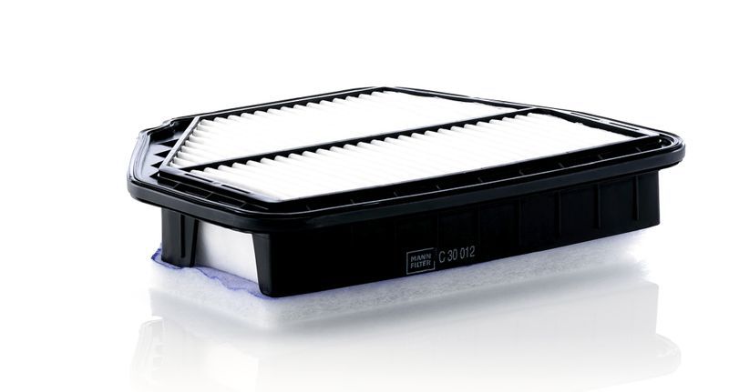 Mann-Filter C 30 012