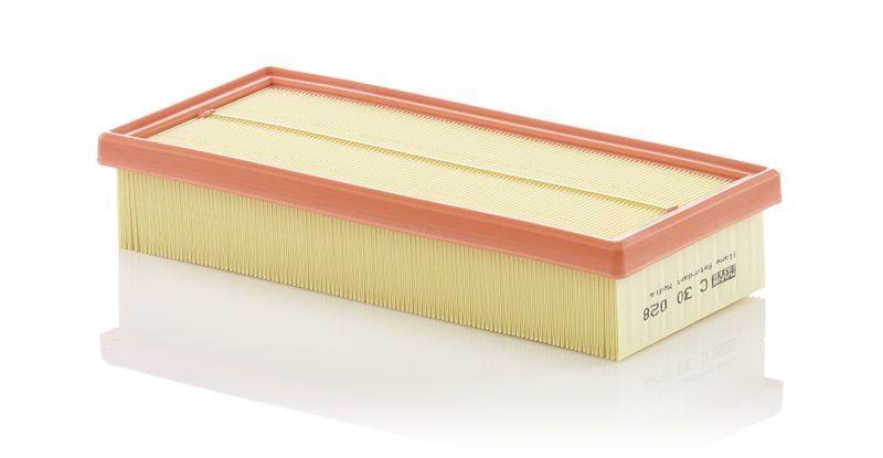 Mann-Filter C 30 028