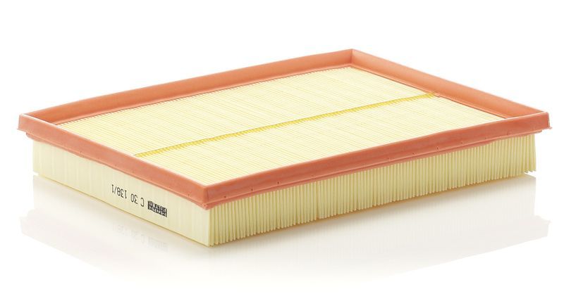 Mann-Filter C 30 138/1