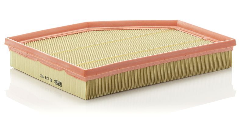 Mann-Filter C 30 139