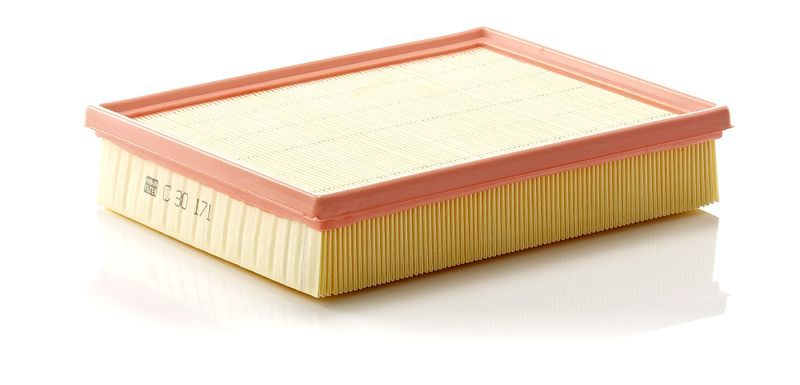 Mann-Filter C 30 171