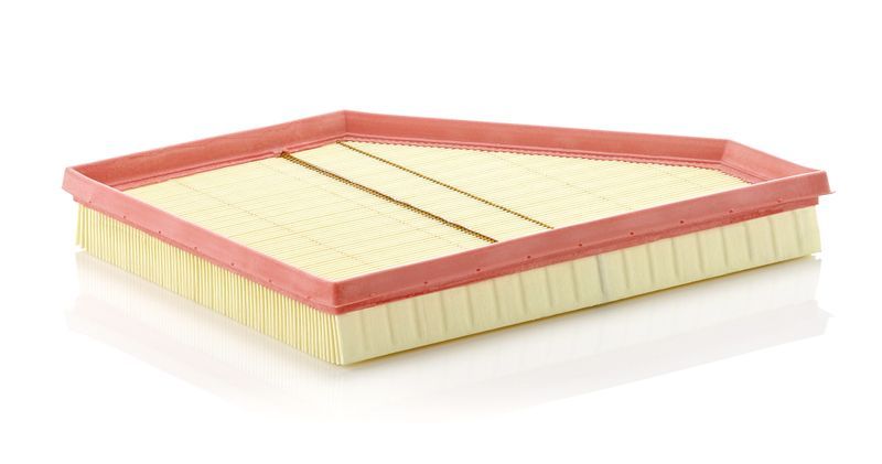 Mann-Filter C 3090/1