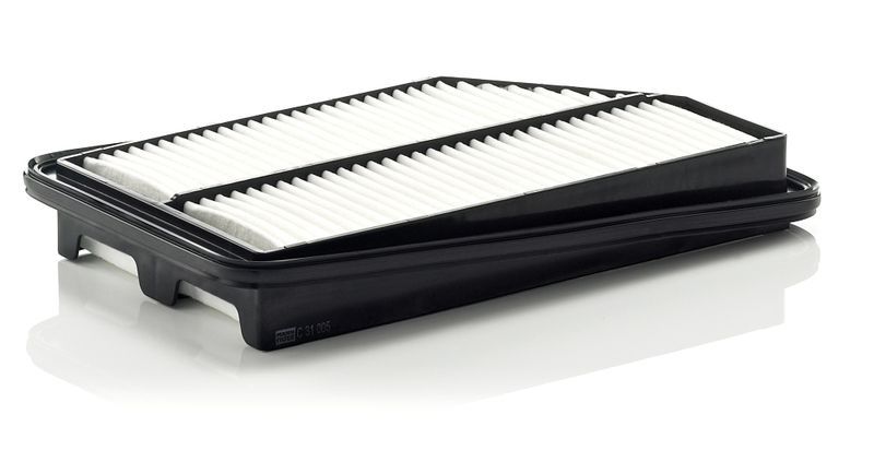 Mann-Filter C 31 005