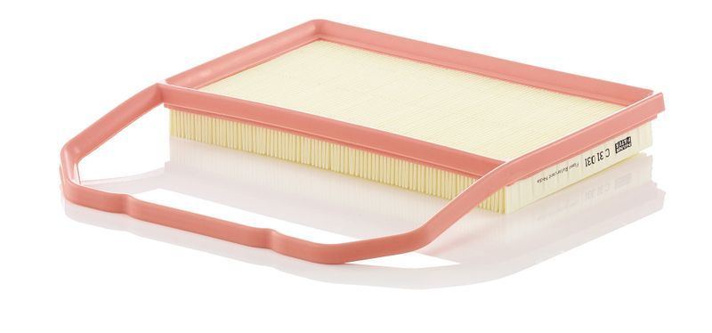 Mann-Filter C 31 031