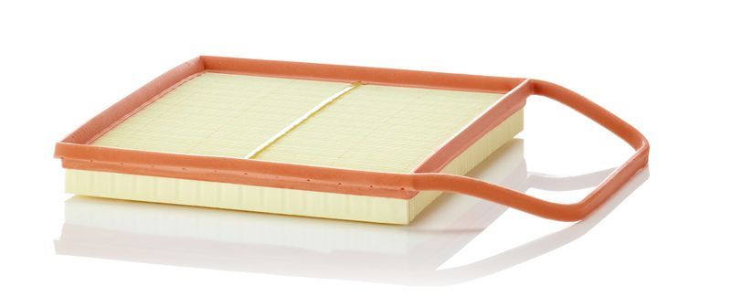 Mann-Filter C 36 004