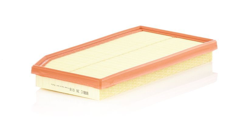 Mann-Filter C 36 016