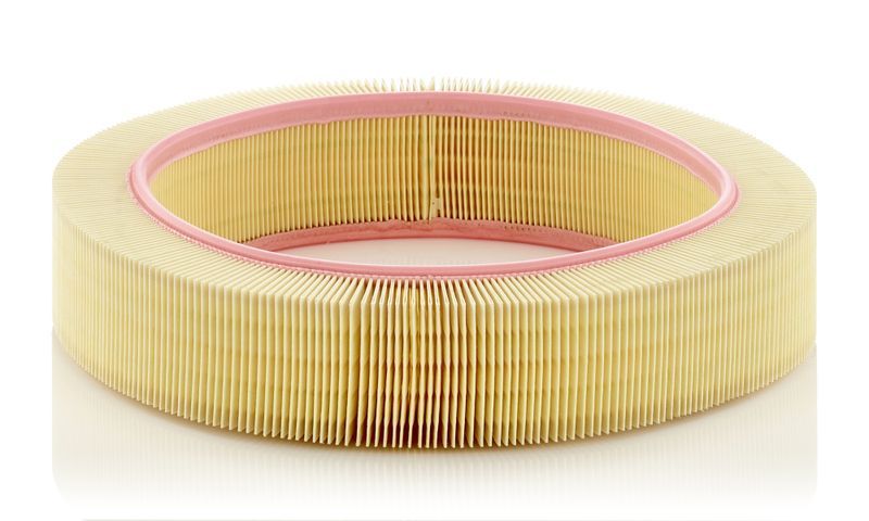 Mann-Filter C 40 174