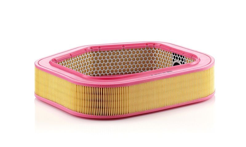 Mann-Filter C 40 193