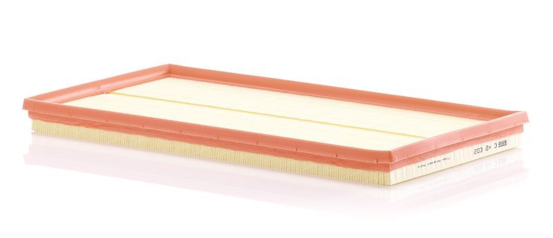 Mann-Filter C 42 002