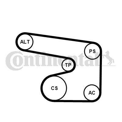 Contitech 6PK1900K1