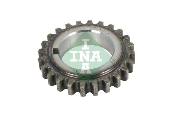 INA 554 0119 10 -  -