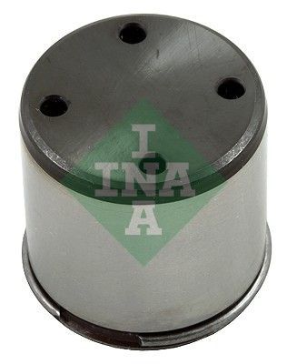 INA 711 0245 10 -  -