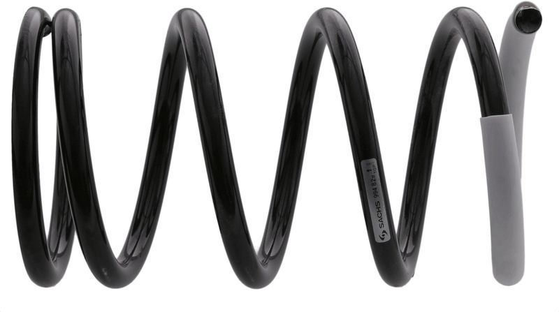 Sachs 994 829 - Pruženie -