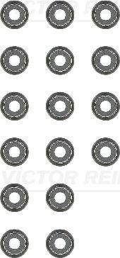 Reinz 12-10031-01 -  -