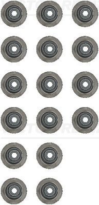 Reinz 12-54206-01 -  -