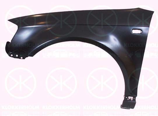 Klokkerholm 0026311A1 - Blatník -