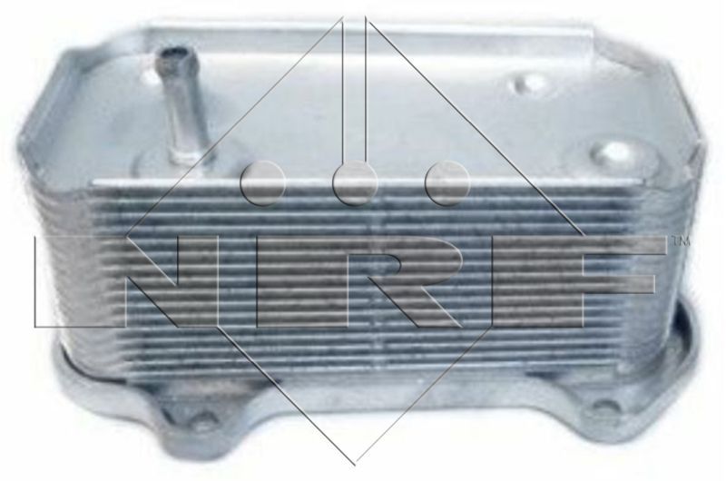 NRF 31289 -  -