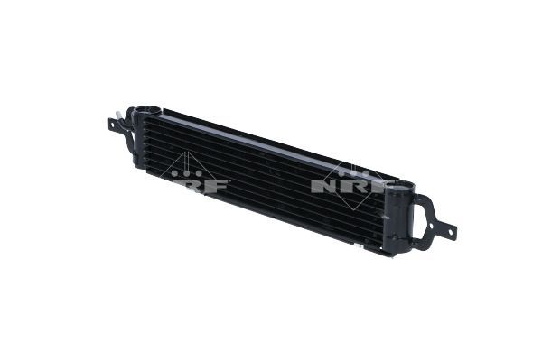 NRF 31809 -  -
