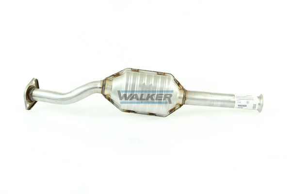 Walker 20096