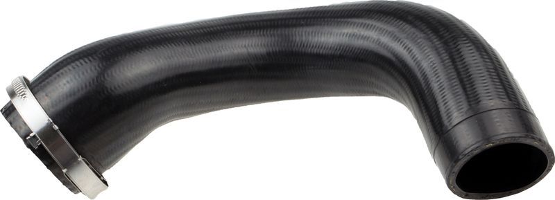 Gates 09-0365 -  -
