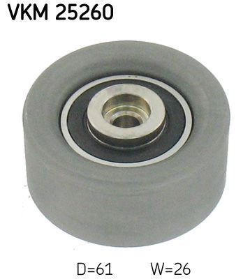 SKF VKM 25260