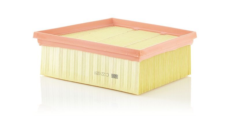 Mann-Filter C 22 031