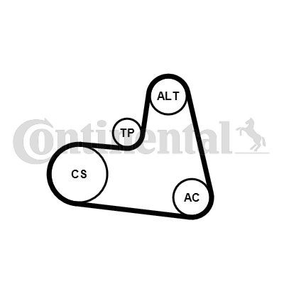 Contitech 6PK1217K1