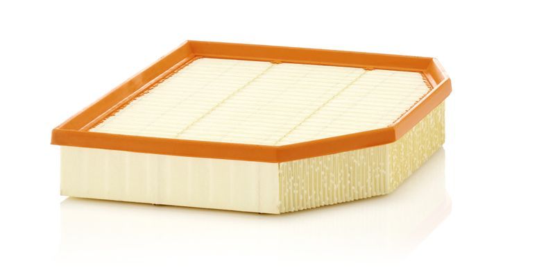 Mann-Filter C 29 132