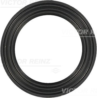 Reinz 71-37341-00 -  -