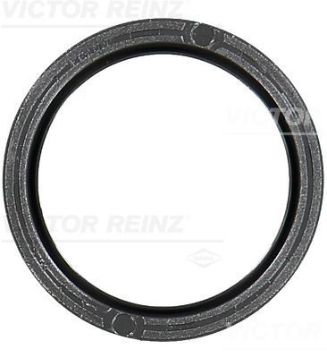 Reinz 81-10481-00