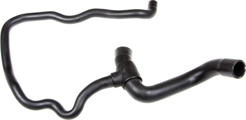 Gates 05-4171 -  -