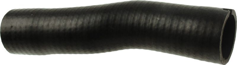 Gates 09-0074 -  -