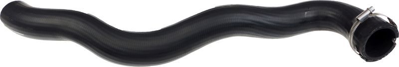 Gates 09-0155 -  -