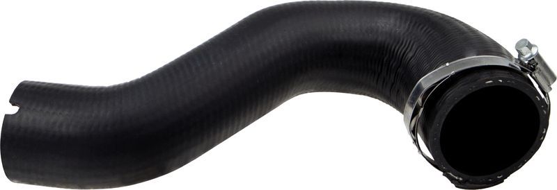 Gates 09-0171 -  -