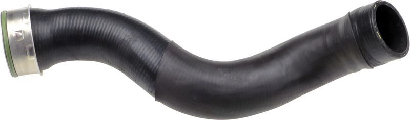 Gates 09-0342 -  -