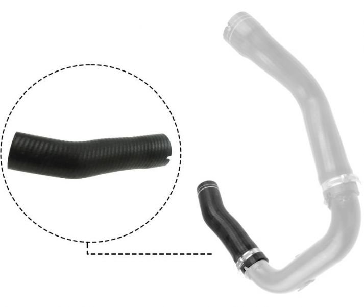 Gates 09-0484 -  -