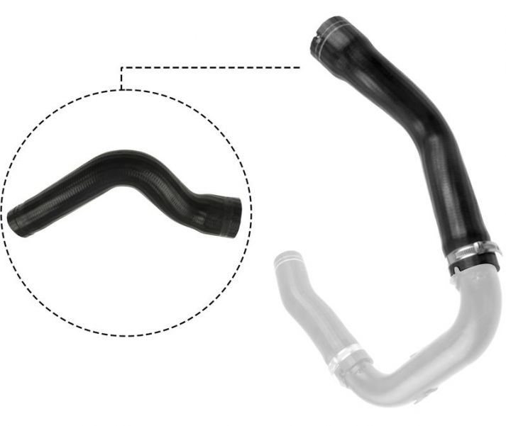 Gates 09-0485 -  -