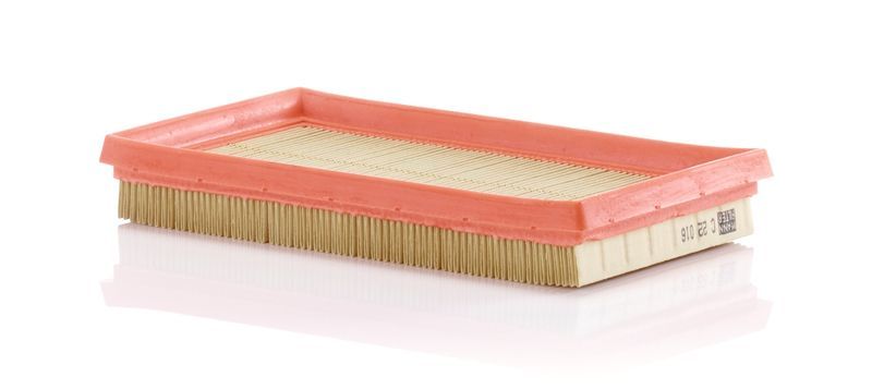 Mann-Filter C 22 016