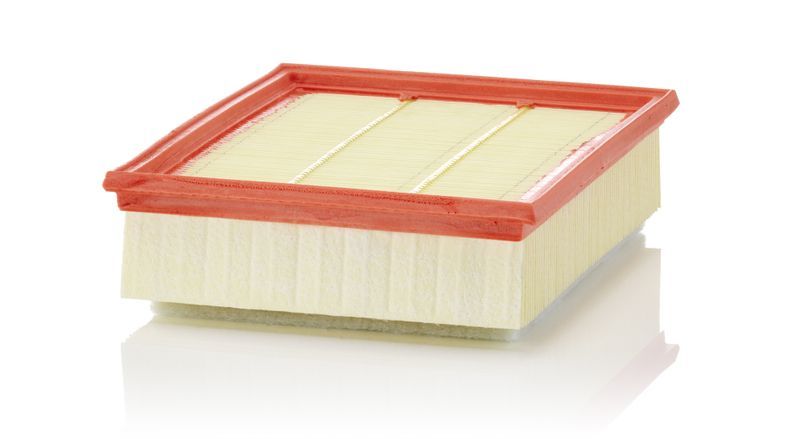 Mann-Filter C 25 018