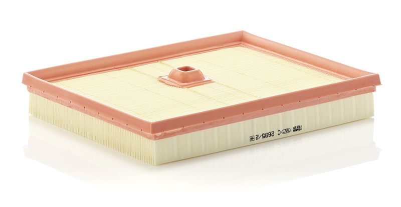 Mann-Filter C 2695/2