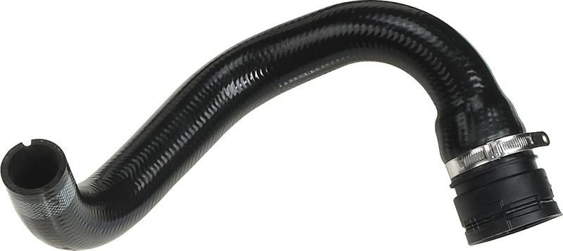 Gates 05-2955 -  -