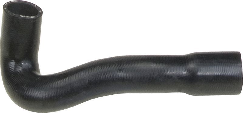 Gates 05-3036 -  -