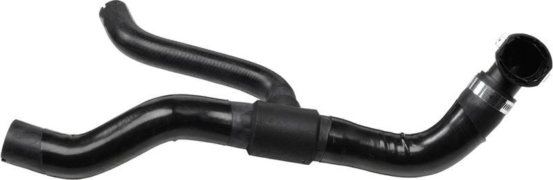 Gates 05-3065 -  -