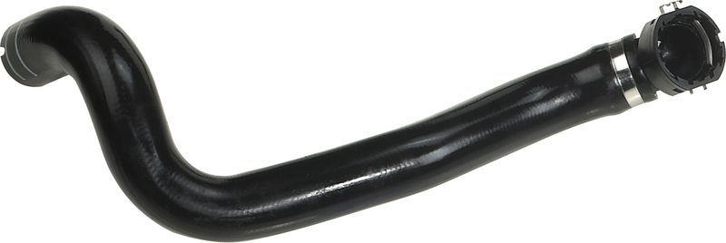 Gates 05-3081 -  -