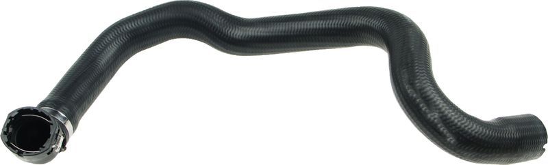 Gates 05-3095 -  -
