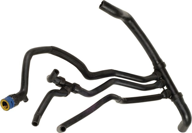 Gates 05-3132 -  -