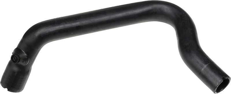 Gates 05-3136 -  -