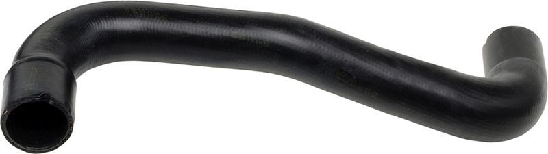 Gates 05-3139 -  -